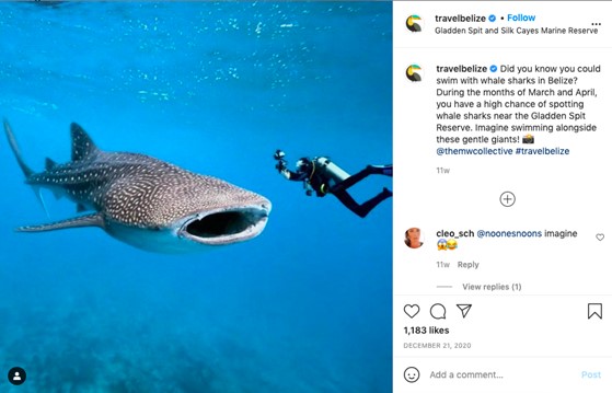 belizeinstagram | Evok Advertising